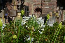 Baumschule Höfkes - Baumschulpark