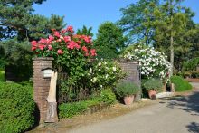 Baumschule Höfkes - Baumschulpark