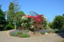 Baumschule Höfkes - Baumschulpark